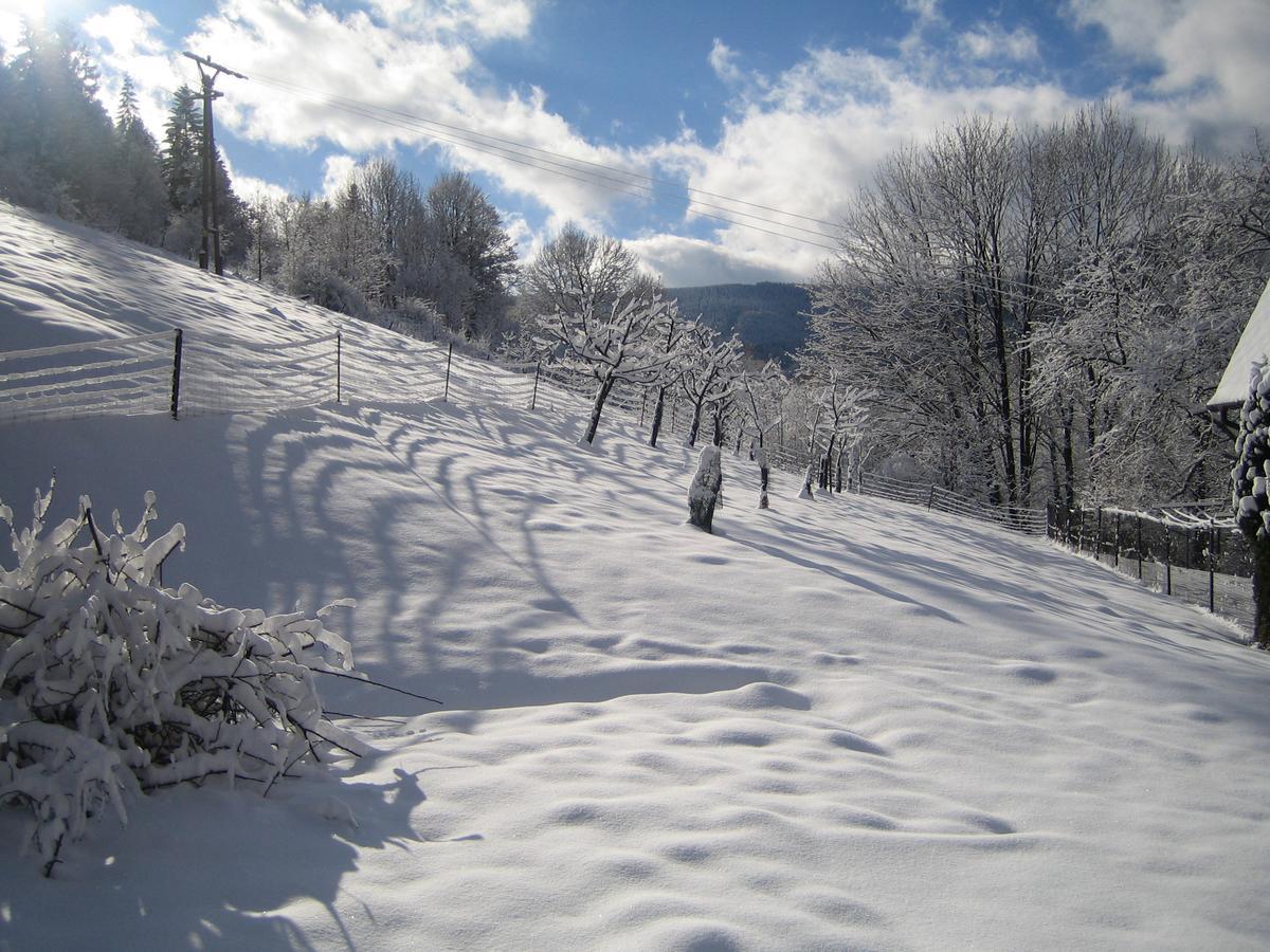 Lodge Na Kremence